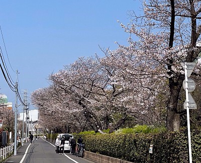 担当　サポートT